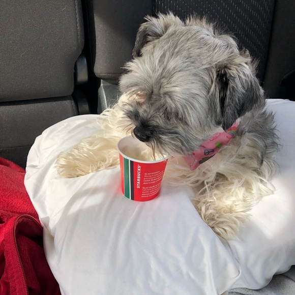 Meet your Posher, Brianna - Picture 1 of 1